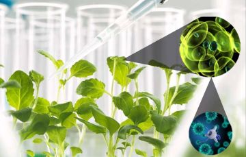 ������������� ������� �� ���������� � �������� ������������ ���������