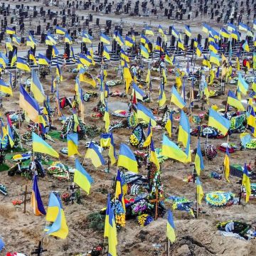 ���� �� ����� ���� ����� ����� ��?