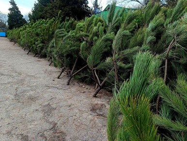 ���������� ����� ��� � ����� ����� � ��� ���������� � ���������!