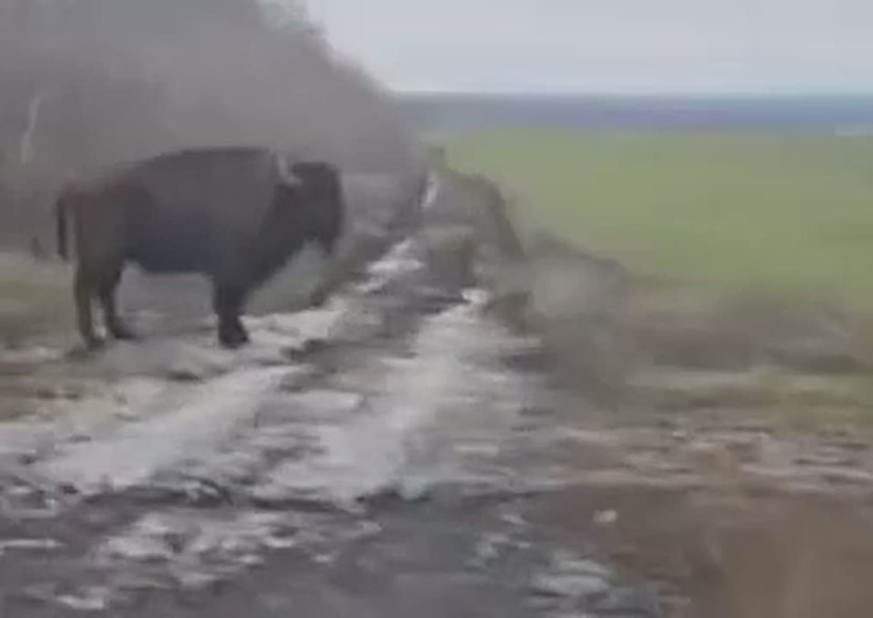 �������� ����������: ������ ����������.������ ������������ ����� � ������ ����-������