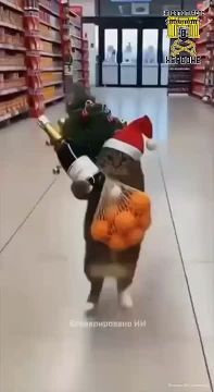 � �� ��������� ������������� � ���������