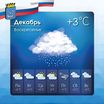 ������� ������ � ����������� ������������� ������ �� �����������, 28 �������