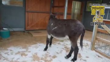 ����� ��� ����� ����� ���� ��� � ������!