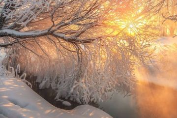 ����� ����������: ������ ����, ������!. ���� ����������� � ��������� ����� ����