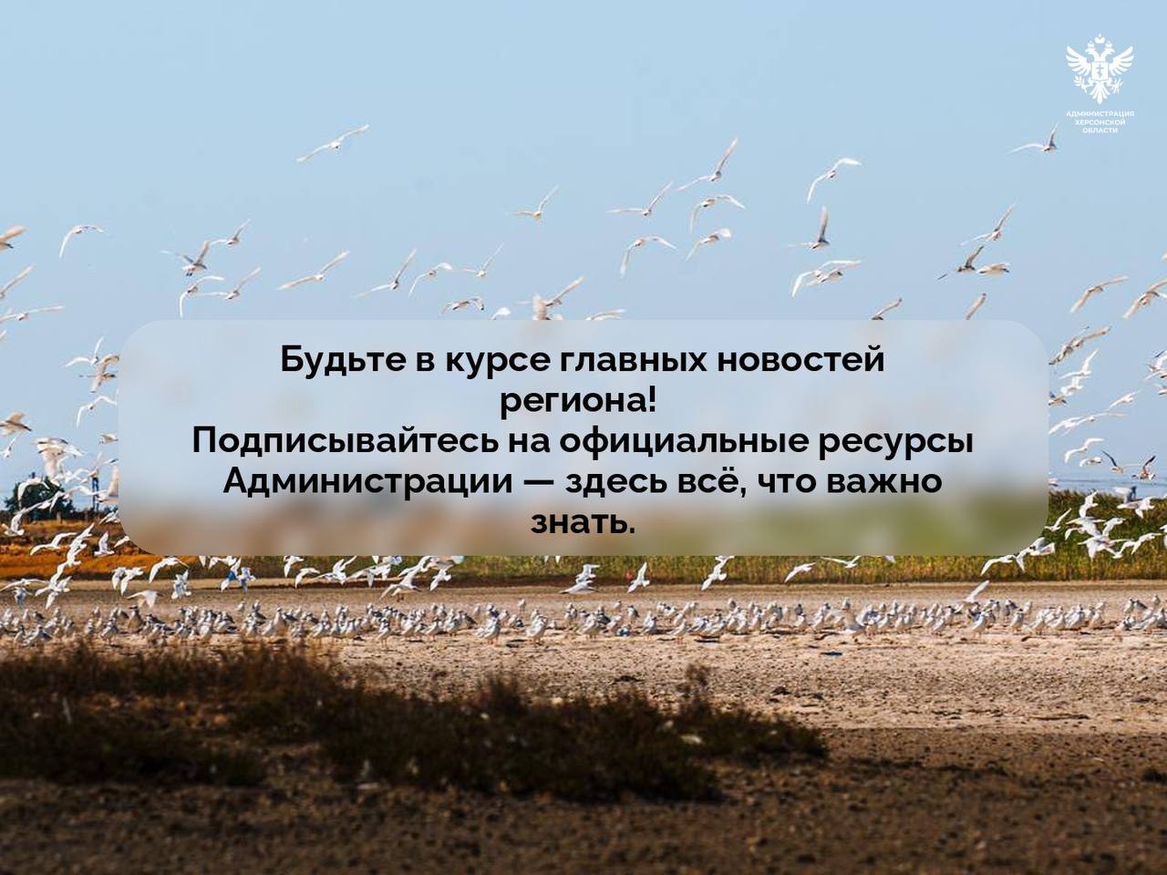 Подписывайтесь на официальные ресурсы Администрации Херсонской области — здесь всё, что важно знать
