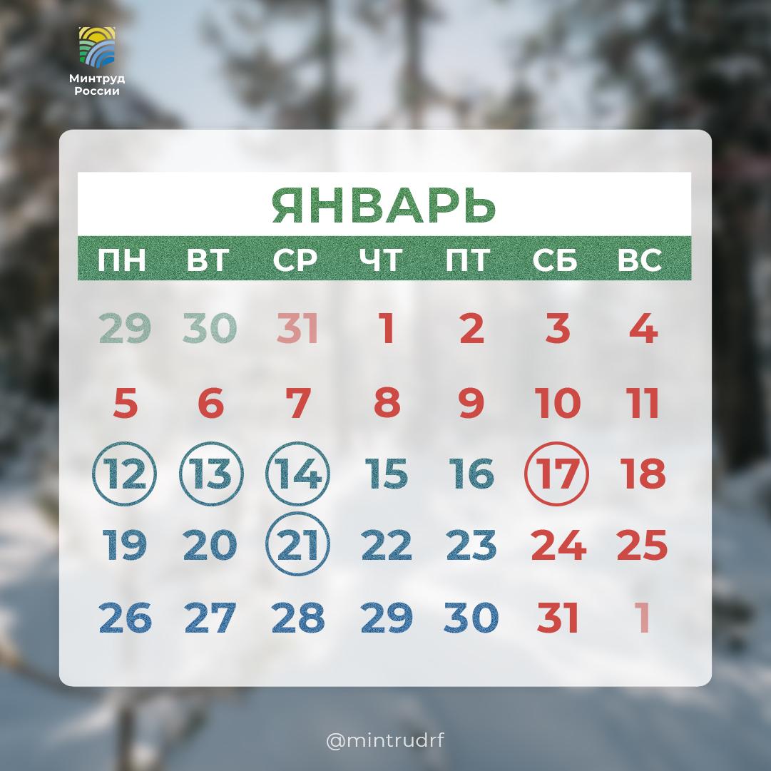 Профессиональные праздники января