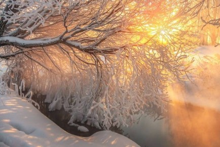 ����� ����������: ������ ����, ������!. ���� ����������� � ��������� ����� ����