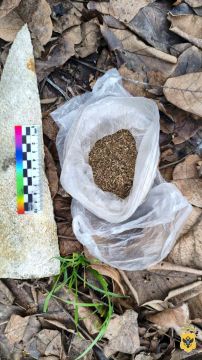 � �������� � 54-������� ������ ����������� ������ ������������ ��������