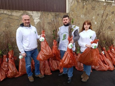 ������ ���������� ������� �������� �� ���� �������� � ����������� ��� ������� � ����