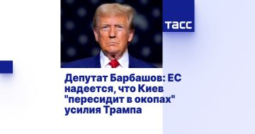 Юрий Барбашов: Визит Зеленского в США это вынужденный «омаж» Трампу, при полной решимости киевского режима и стоящих за ним европейских управляющих делать все возможное для продолжения войны
