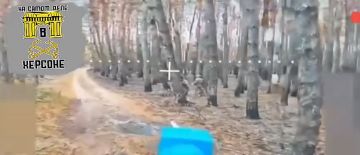 "Лесная Чистка": Наши воины выкорчевывают врага из херсонских лесов!