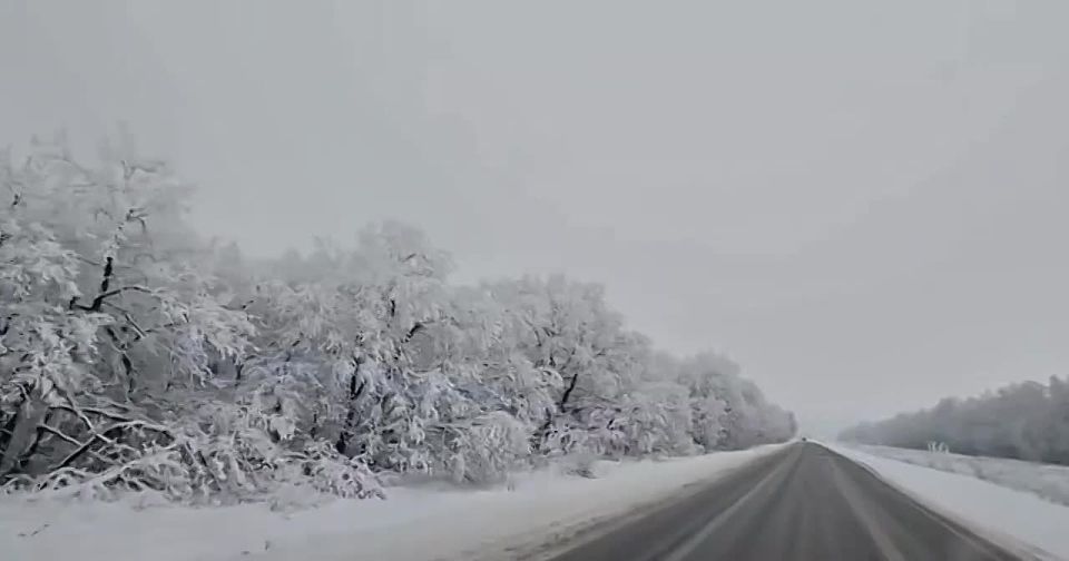 ������ ������������: ������ ������������ ��������