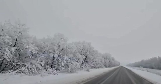 ������ ������������: ������ ������������ ��������