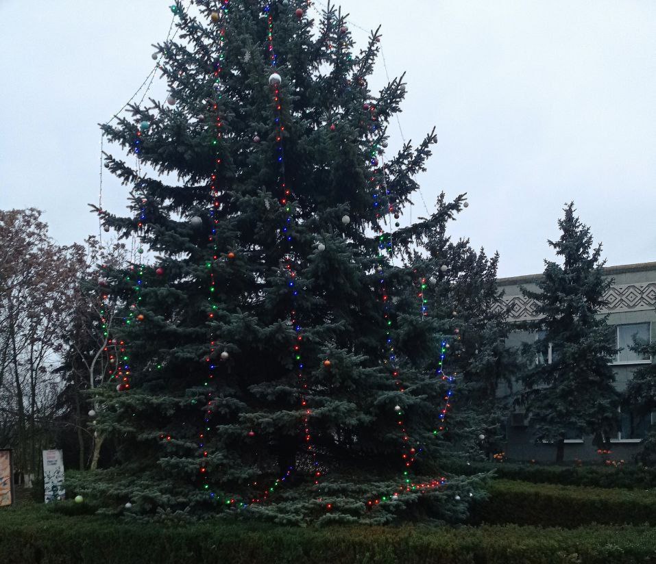 В Чаплинском муниципальном округе готовятся встречать Новый год В Чаплинском муниципальном округе готовятся встречать Новый год