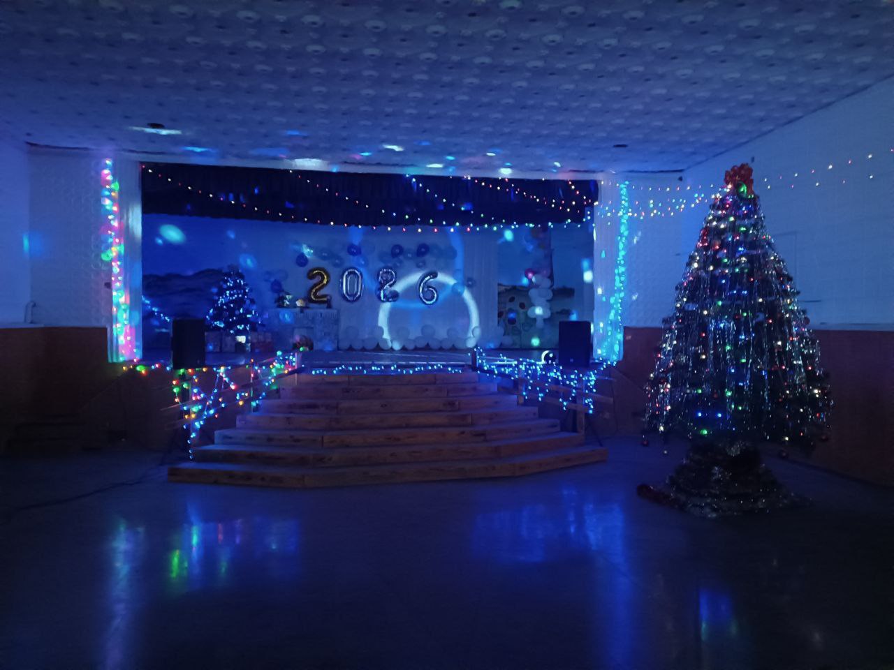 В Чаплинском муниципальном округе готовятся встречать Новый год В Чаплинском муниципальном округе готовятся встречать Новый год