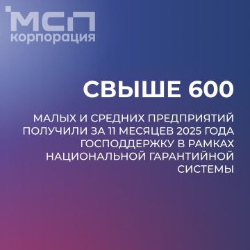 Объем господдержки МСП новых регионов вырос в 1,7 раза по сравнению с прошлым годом