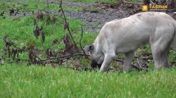 �������� ������ ������� � ���������� ��������� ������������� ����������� ��������� �������� � ������ �� �������� �������