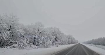 Рамиль Замалетдинов: Сказка нарисованная природой