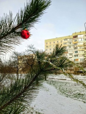 ������ ������.. ������ ����, ����������!