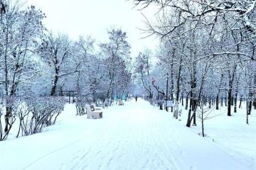 ����� ������ ����� � ���������� ������� �� ����� ��� 2025-2026