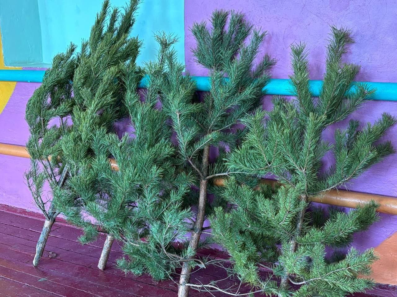 Новогодние подарки для детей Херсонской области Новогодние подарки для детей Херсонской области