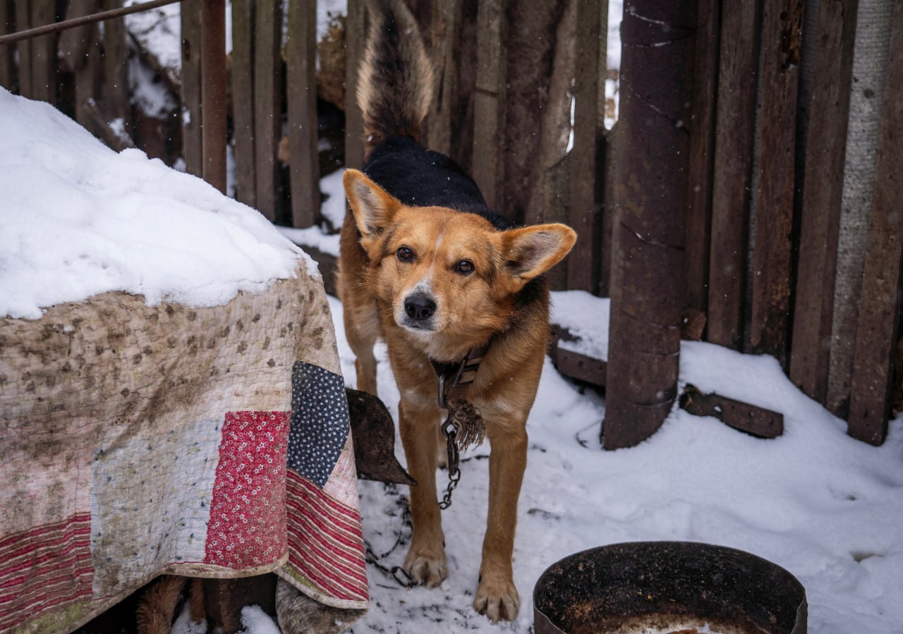 «Тепло и забота»: «Народная дружина» помогла многодетной семье «утеплиться» «Тепло и забота»: «Народная дружина» помогла многодетной семье «утеплиться»
