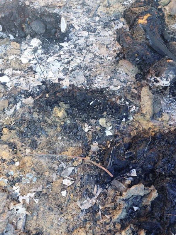 Атака ВСУ в Херсонской области была спланирована заранее, дроны целенаправленно били по месту скопления мирных граждан в момент празднования Нового года, заявили в МИД Атака ВСУ в Херсонской области была спланирована заранее, дроны целенаправленно били по месту скопления мирных граждан в момент празднования Нового года, заявили в МИД