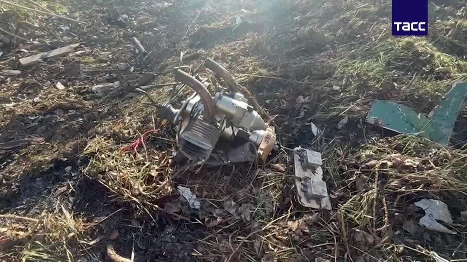 ����� � ��������� �������������, �������� ��� ������� �� ���� � ��������� �� ��������� ������� ���� � ���� ����� ������������� �������������� ������, ��������� � ������������ ����