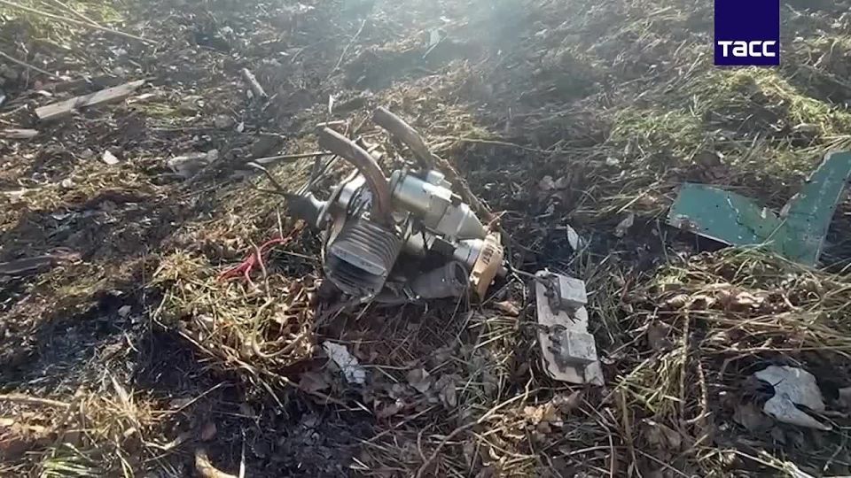 ����� � ��������� ����, ������������ � ���������� ���� ���������� �������