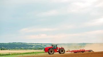 Несмотря на режим ЧС, в Голой Пристани урожайность рапса составила 21 ц/га