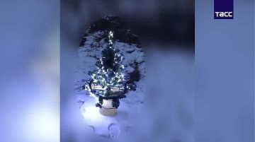 Дрон с новогодней елкой и светящейся гирляндой российские бойцы отправили военным ВСУ на передовой