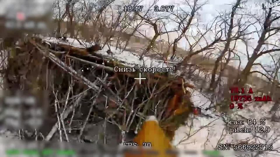 ��������������� �����������