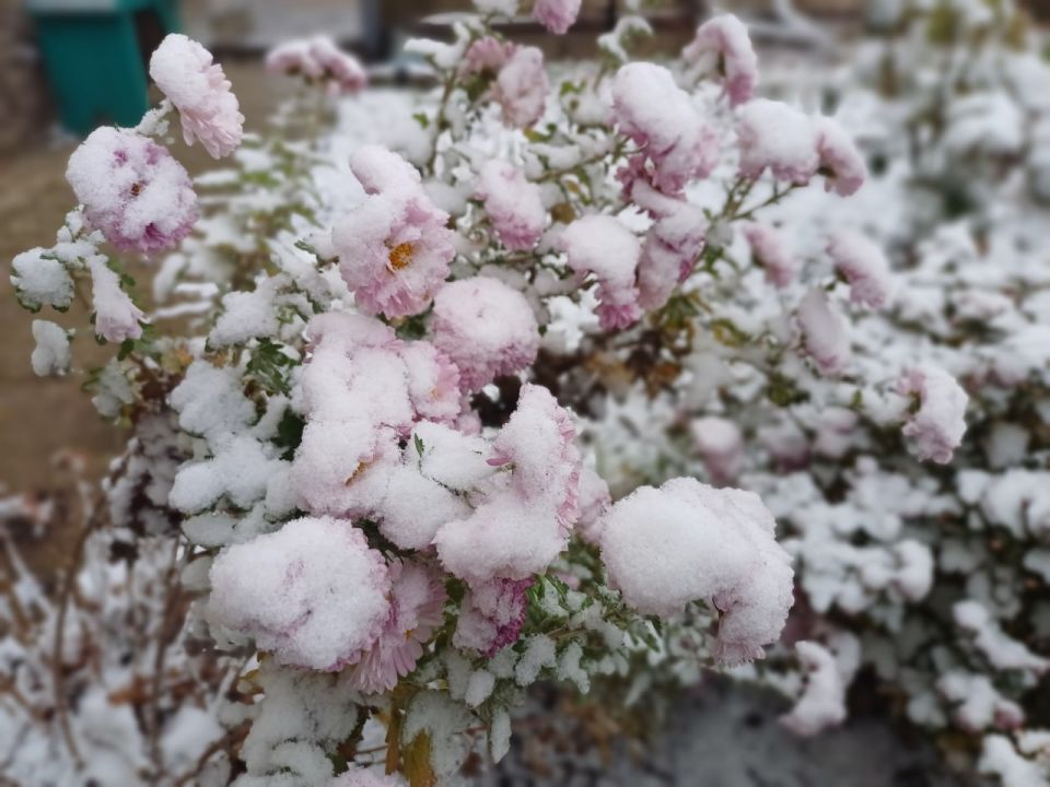 � ������ �����, ������!. ���� �������� ��� - ��������� ��� ���������� �������