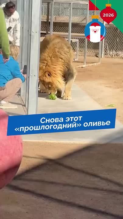 �� ������������, � ����������!