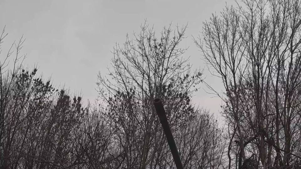 �������� ������: ������������ 49-� ������������� ����� ���������� ���������� ����� ��� �� ������ ������ ������