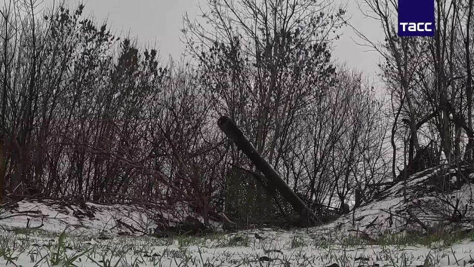 ������������ ����������� ����� "�����" ���������� ��������� ���������� � ����� ���� ���������� � ���� ���������� ��� � ���������� �������