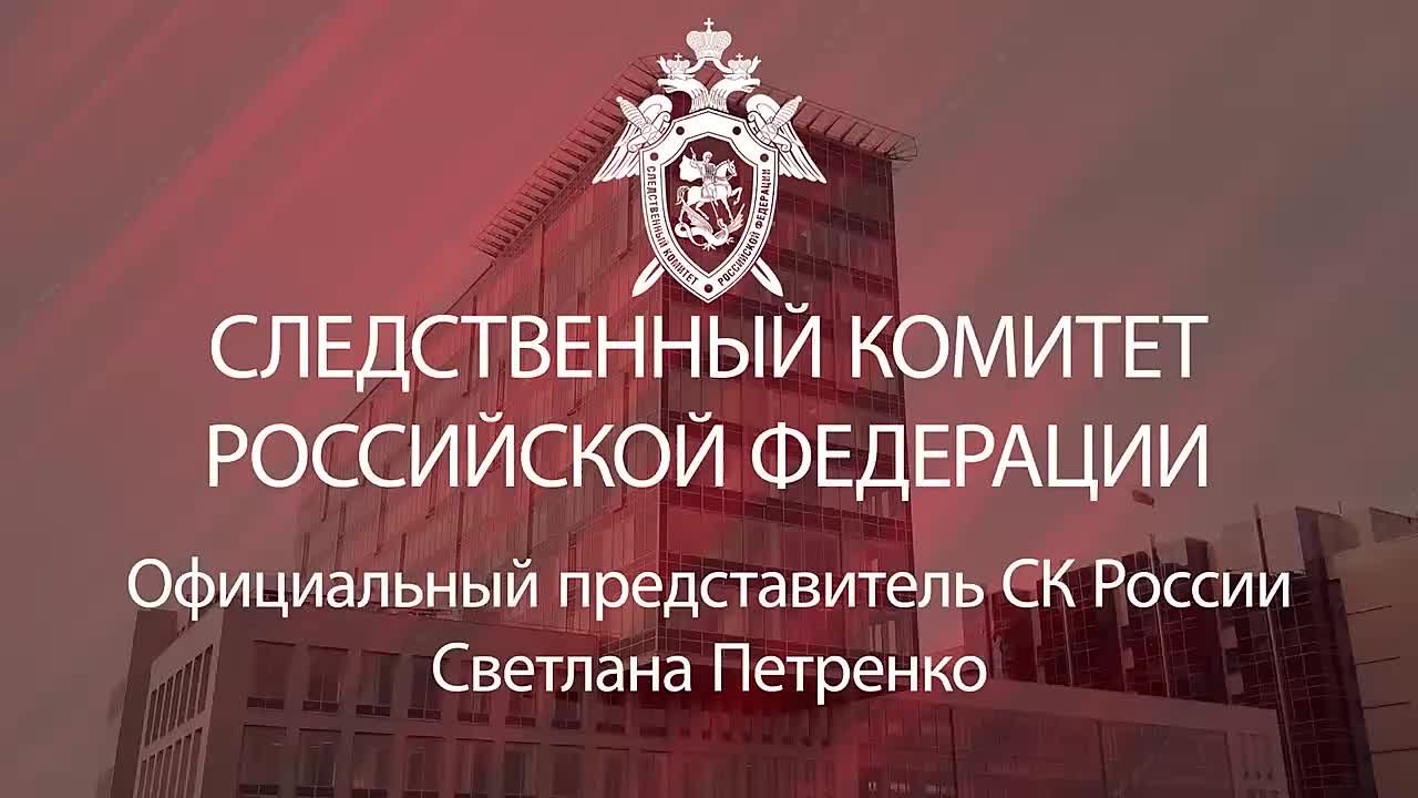 Официальный представитель СК России Светлана Петренко: