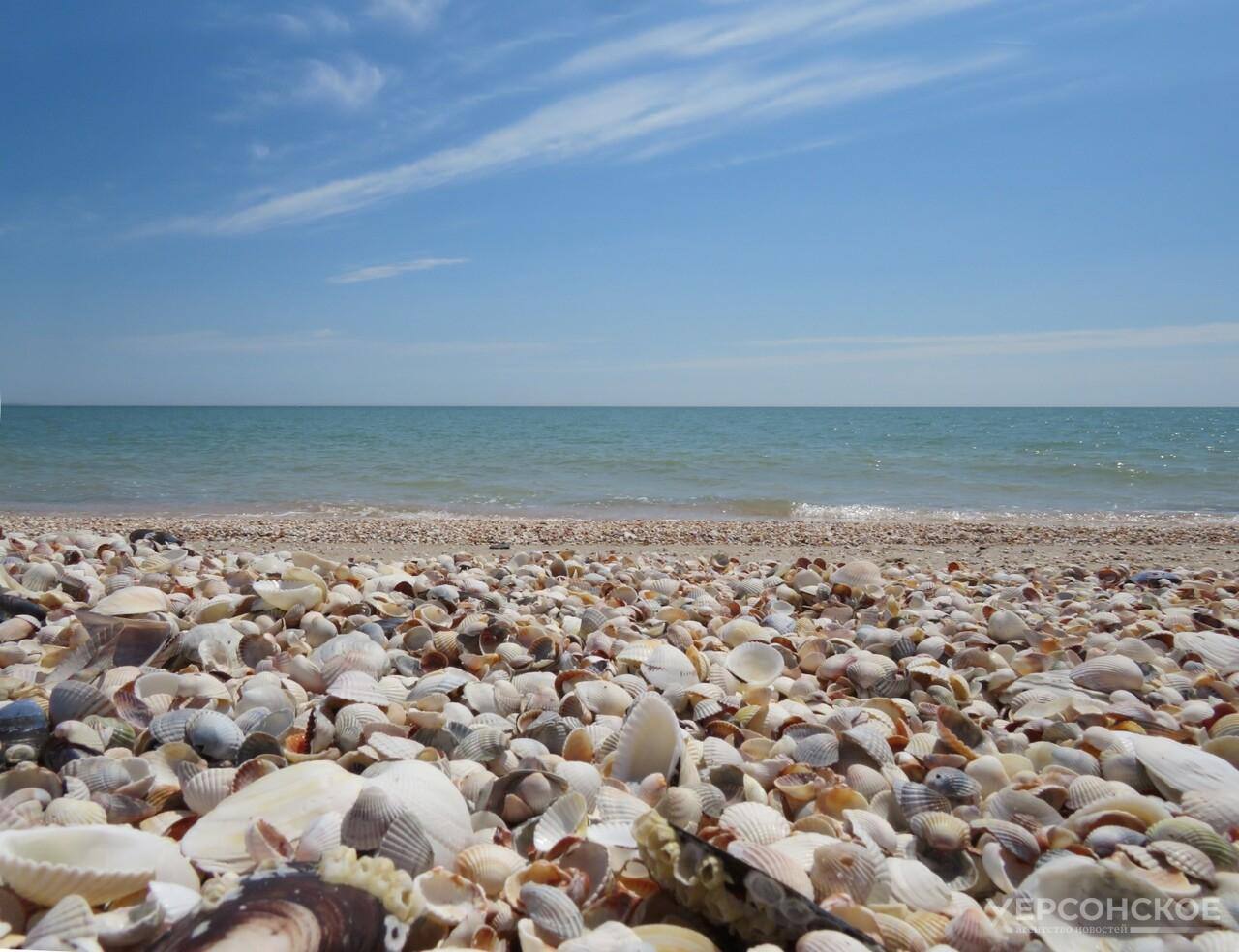 Участники СВО подарили новогодние подарки детям из села Коробки Участники СВО подарили новогодние подарки детям из села Коробки