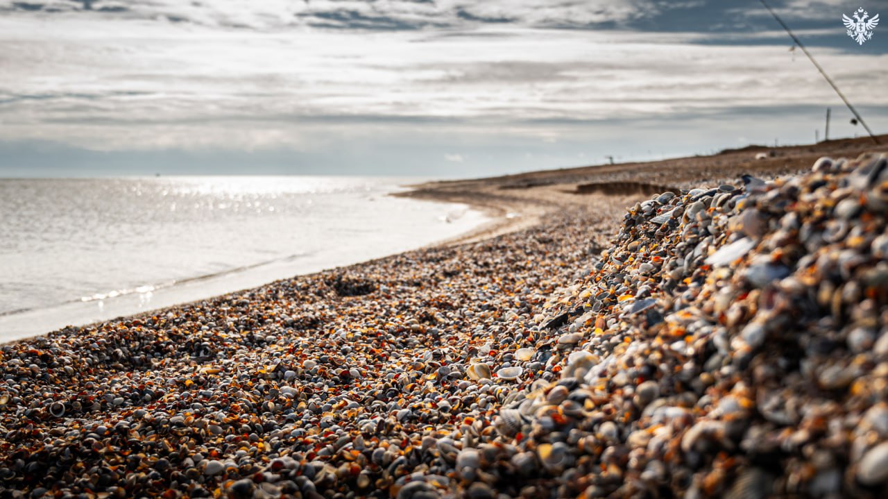 В 2025 году Херсонская область получила в собственность 18 пляжных территорий общей площадью 344 гектара