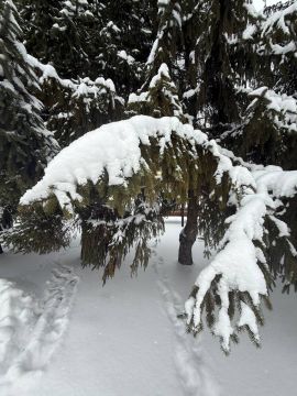 ������ ����!. ������� ������ ����������� � ���� ����, �� ��� ������ �� � ��������