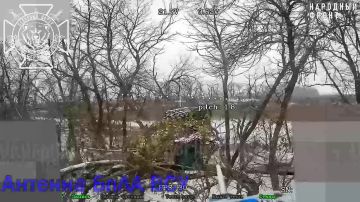 ����� ������� ���������� ���������������� ������������ ���