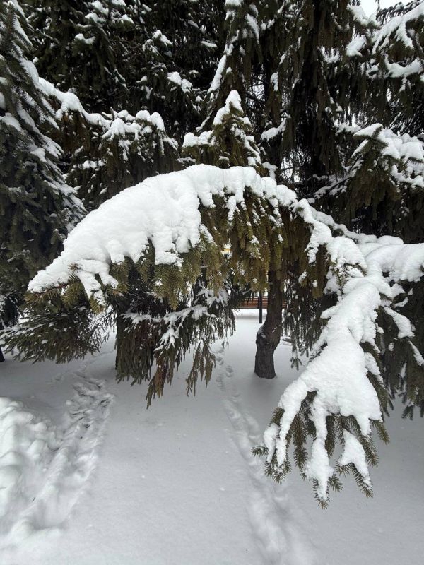 ������ ����!. ������� ������ ����������� � ���� ����, �� ��� ������ �� � ��������