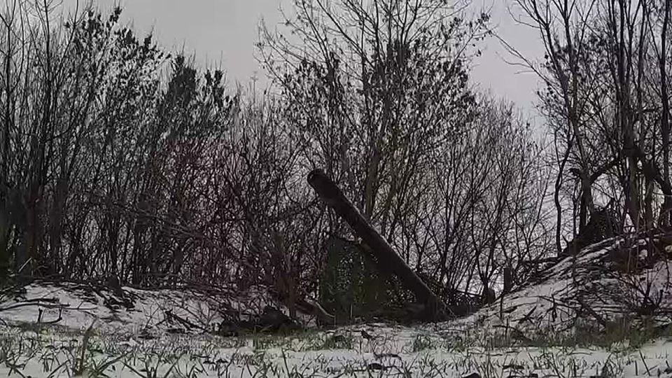 "����� � ������!". ������������ 49-� ������������� ����� ���������� ���������� ��� �� ������ ������ ������ � ���������� �������