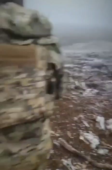 ���� �� ������� ���� � ���, ��� ���� ���������� ������� ����� ��������� ������� � ��������� � ���� ���������