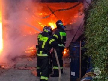 ����������� ���������� �� 5 ������ �� ���������� ���������� �������