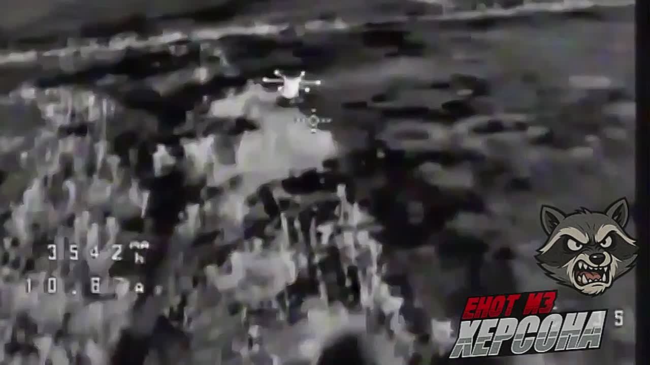 Енот из Херсона: Кадры уничтожения БпЛА ВСУ снайперами и операторами FPV-дронов группировки войск «Днепр»