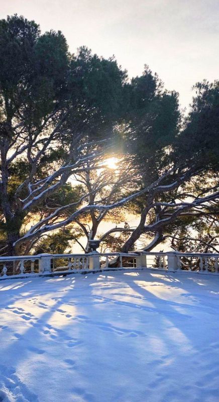 ���������� ������� �����. ���������� ���� ������� � ������: ������������ ��������