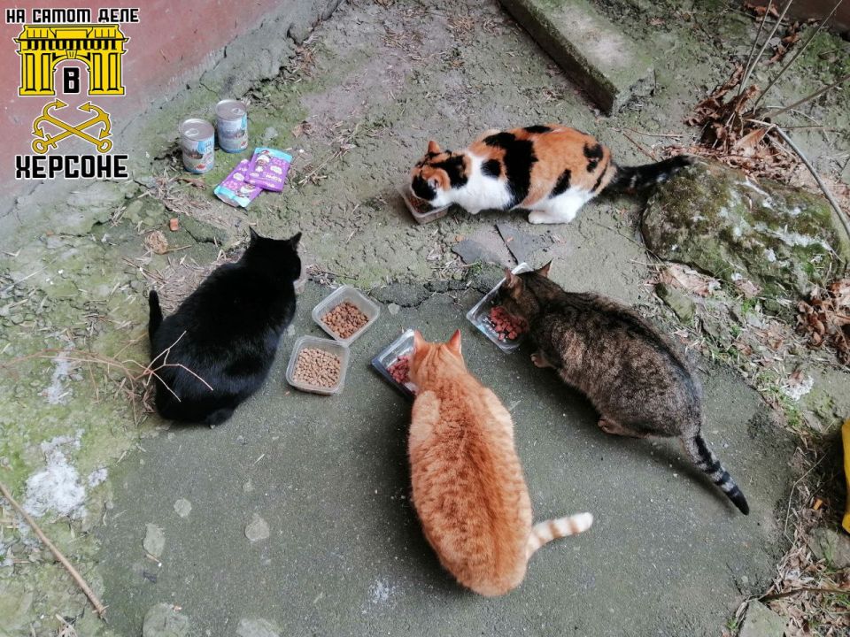 ���������� �� ����� ���������