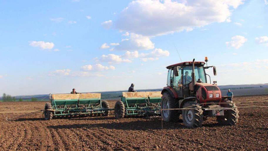 Более 40 тыс. га засеяли озимыми культурами в Голопристанском районе