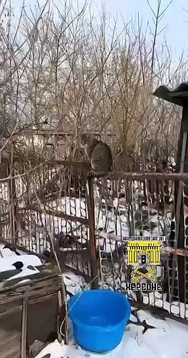 ���������� ��� - ���� ���������� ������!